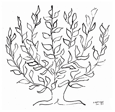 La Platane Henri Matisse